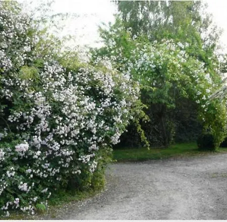 Le Neufbosc ベッド・アンド・ブレックファスト